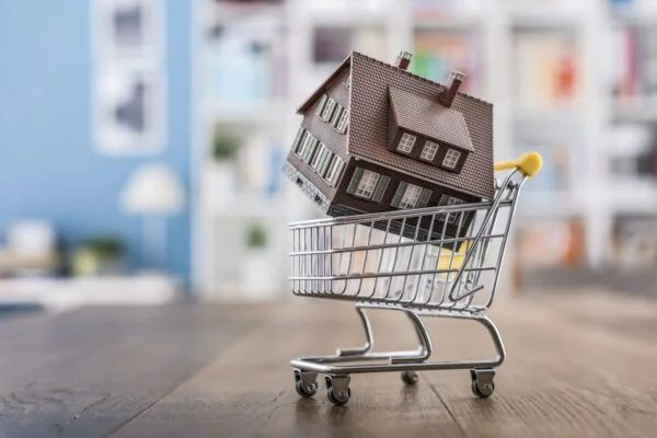 Home Buyer's Guide: What to Know Before You Buy